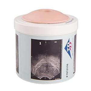 Prostate Examination Trainer Ea