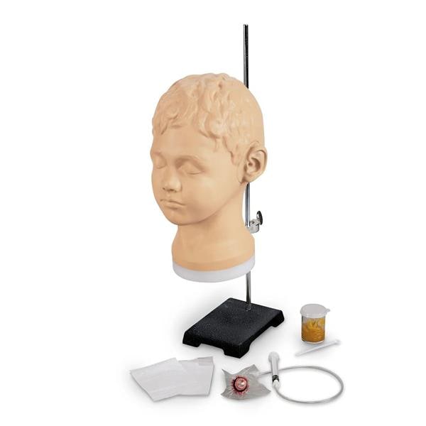 Life/form Ear Diagnostic & Procedural Simulation Trainer 1/Ea