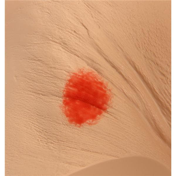 Seymour II Decubitus Wound Care Wound Care Geriatric Simulator Ea