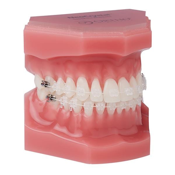 NeoCrystal Plus Typodont Ea