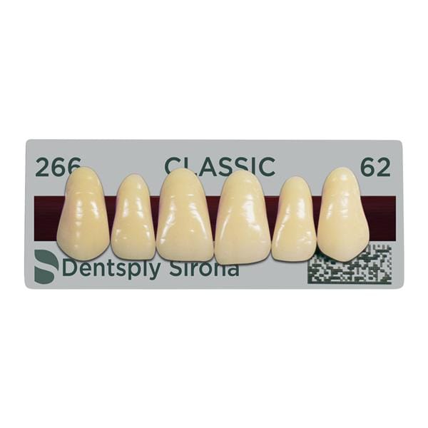 Classic Anteriors 6/St