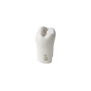 ModuPro One ModuPRO One/ModuPRO OS3 Replacement Tooth Ea