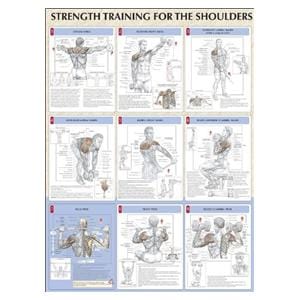 Poster Instructional Strength Training for the Shoulders 24x31" Each