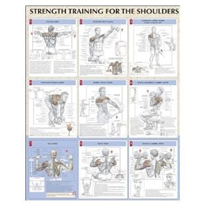 Strength Training for the Shoulders 24x31" Instructional Poster Ea
