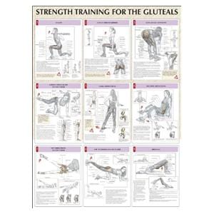 Poster Instructional Strength Training for the Buttocks 24x31" Ea