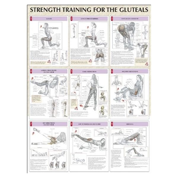 Poster Instructional Strength Training for the Buttocks 24x31" Ea