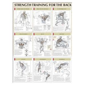 Poster Instructional Strength Training for the Back 24x31" Ea