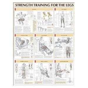 Poster Instructional Strength Training for the Legs 24x31" Ea