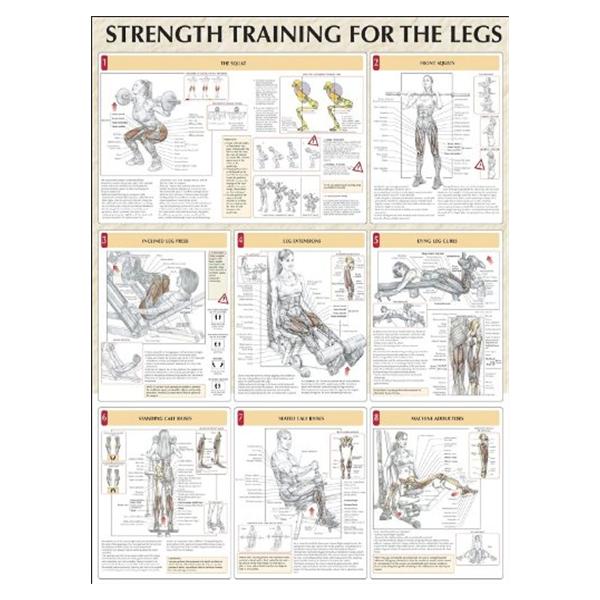 Poster Instructional Strength Training for the Legs 24x31" Ea