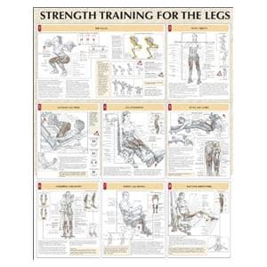 Strength Training for the Legs 24x31" Instructional Poster Ea