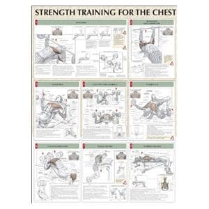 Poster Instructional Strength Training for the Chest 24x31" Each