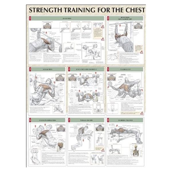 Poster Instructional Strength Training for the Chest 24x31" Each