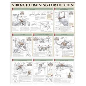 Strength Training for the Chest 24x31" Instructional Poster Ea