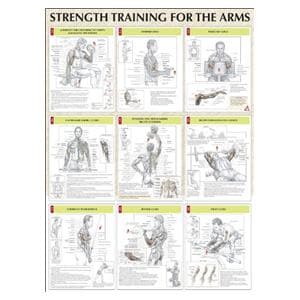 Poster Instructional Strength Training for the Arms 24x31" Each