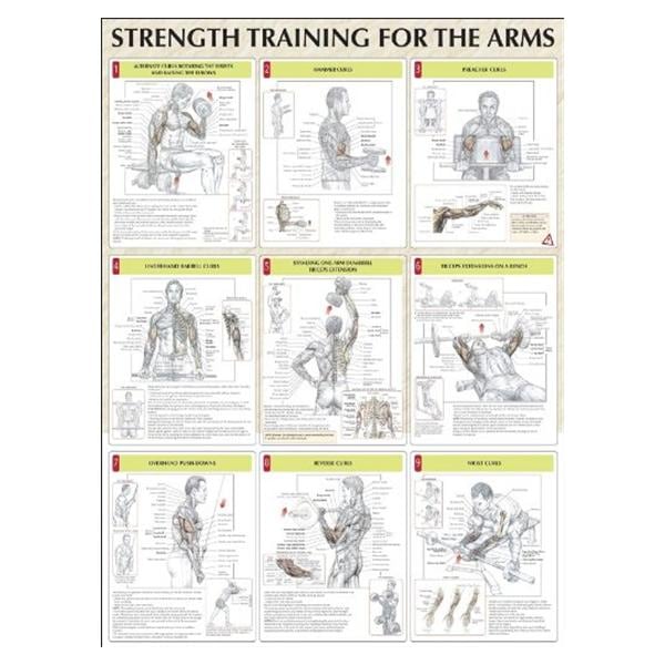 Poster Instructional Strength Training for the Arms 24x31" Each