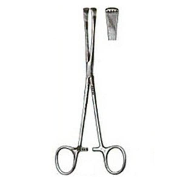 Allis Tissue Forcep 6-1/4" EA