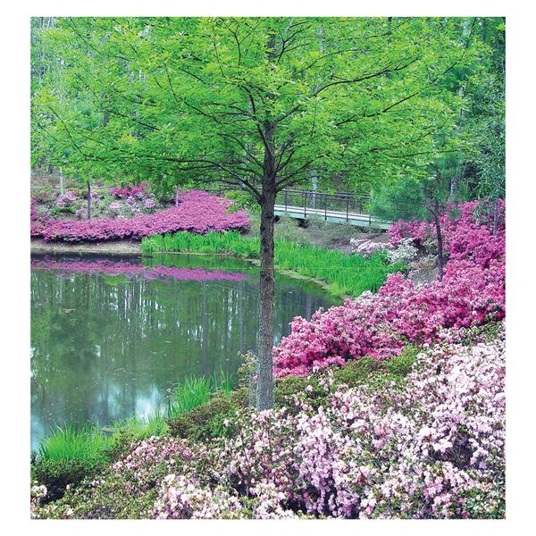 CeilingScenes Acoustic Tile Spring Scene 2-Tiles Vertical 24 in x 48 in Ea
