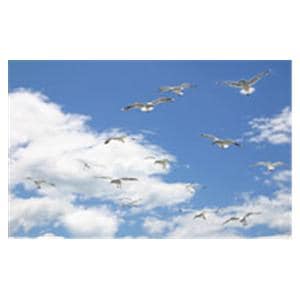 CeilingScenes Light Lens Seagull Sky 2-Tiles Vertical 24 in x 24 in Ea