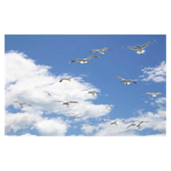 CeilingScenes Acoustic Tile Seagull Sky 2-Tiles Vertical 24 in x 48 in Ea