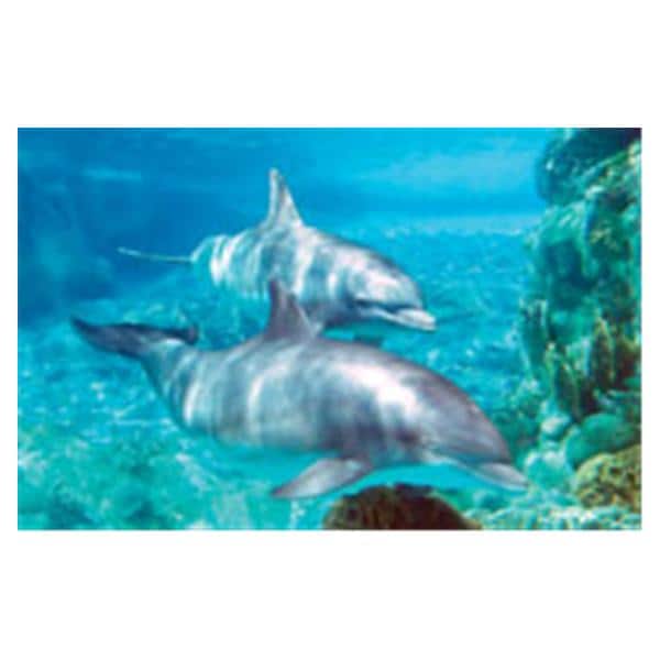 CeilingScenes Acoustic Tile Dolphins 1-Tile Horizontal 48 in x 24 in Ea