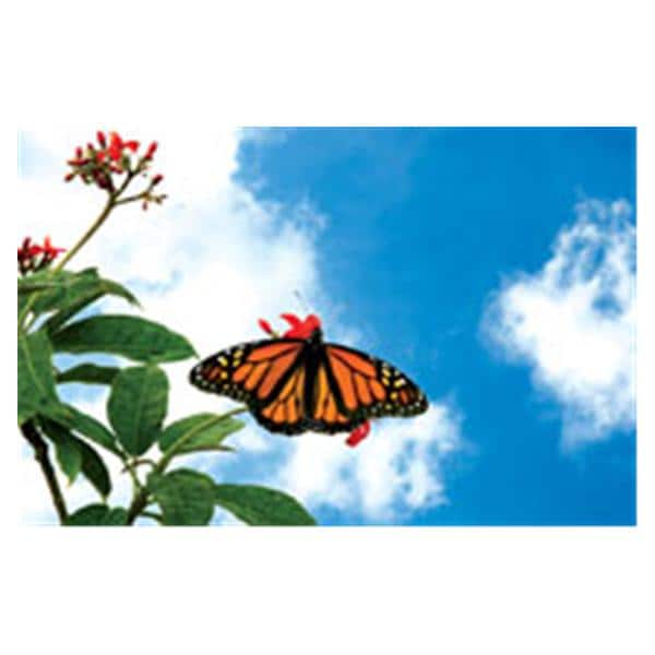 CeilingScenes Acoustic Tile Monarch Sky 2-Tiles Vertical 24 in x 24 in Ea