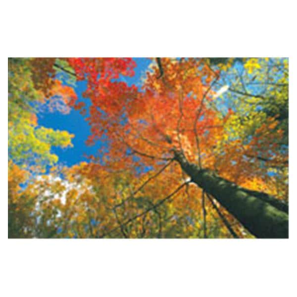 CeilingScenes Light Lens Fall Tree Sky 2-Tiles Horizontal 24 in x 24 in Ea