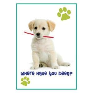 Imprinted Recall Cards Puppy with Toothbrush 4 in x 6 in 250/Pk