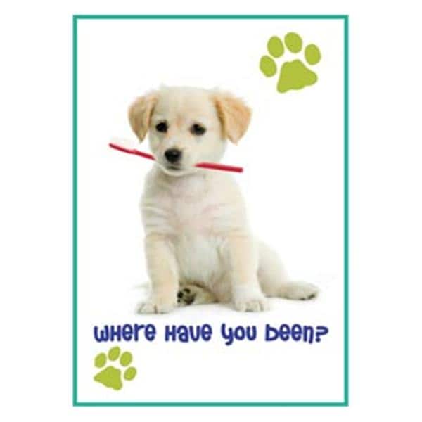 Imprinted Recall Cards Puppy with Toothbrush 4 in x 6 in 250/Pk product image