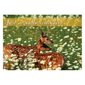 Imprinted Recall Cards Deer in Flowers 4 in x 6 in 250/Pk