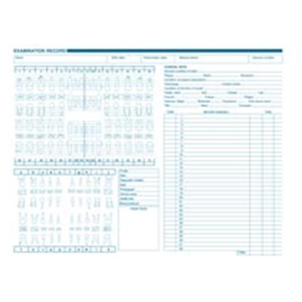 Dental Paper Charting