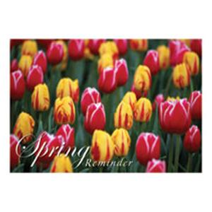 Imprinted Recall Cards Reminder Spring 4 in x 6 in 250/Pk