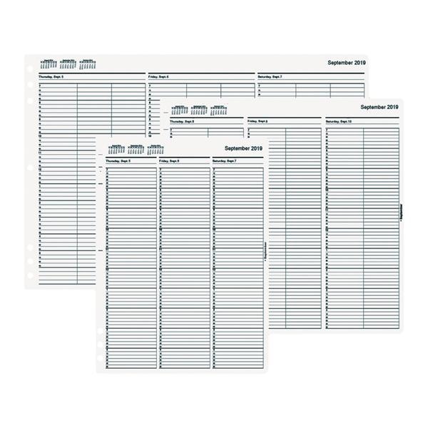 TimeScan Looseleaf 4ColumnDated 17x11 Ea
