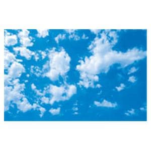 CeilingScenes Acoustic Tile Scattered Clouds 2-Tiles Horizontal 24 in x 24 in Ea