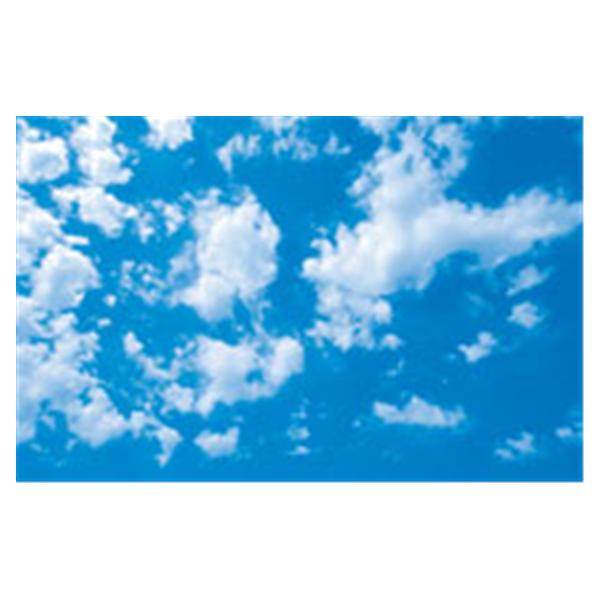 CeilingScenes Acoustic Tile Scattered Clouds 2-Tiles Horizontal 24 in x 24 in Ea
