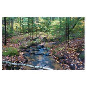 CeilingScenes Light Lens Gentle Stream 1-Tile Square 24 in x 24 in Ea