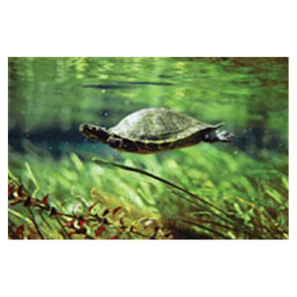 CeilingScenes Light Lens Turtle 2-Tiles Vertical 24 in x 48 in Ea