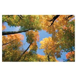 CeilingScenes Light Lens Maple Tree 1-Tile Horizontal 48 in x 24 in Ea