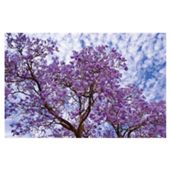 CeilingScenes Light Lens Jacaranda 2-Tiles Horizontal 48 in x 24 in Ea