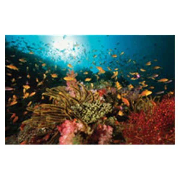 CeilingScenes Light Lens Sealife 2-Tiles Horizontal 48 in x 24 in Ea