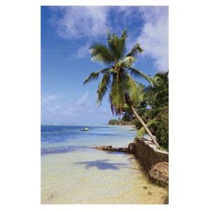 CeilingScenes Acoustic Tile Palms 4-Tiles Square 24 in x 24 in Ea