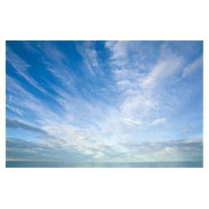 CeilingScenes Acoustic Tile Cumulus Clouds 2-Tiles Horizontal 48 in x 24 in Ea