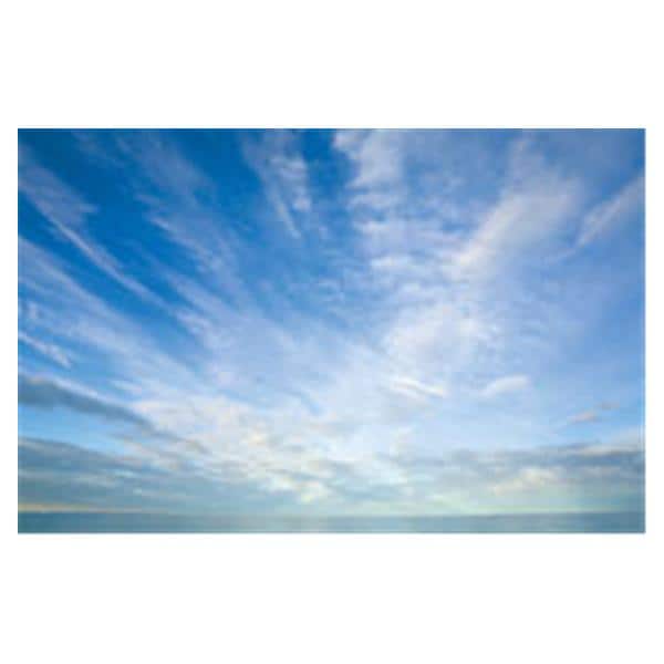 CeilingScenes Acoustic Tile Cumulus Clouds 2-Tiles Horizontal 48 in x 24 in Ea