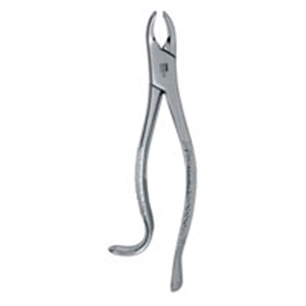 Extracting Forceps Size 18R Adult Ea thumbnail 2