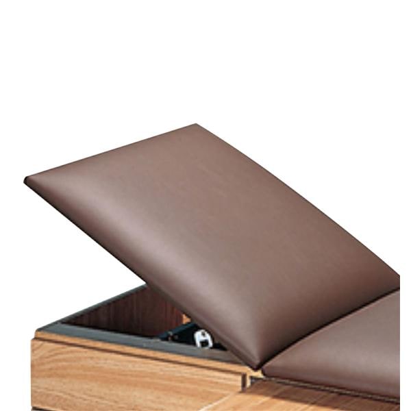 Backrest Adjustable Hausmann For Exam Table Ea