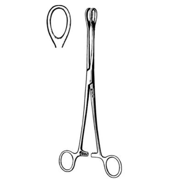 Foerster Sponge Forcep Straight Stainless Steel EA