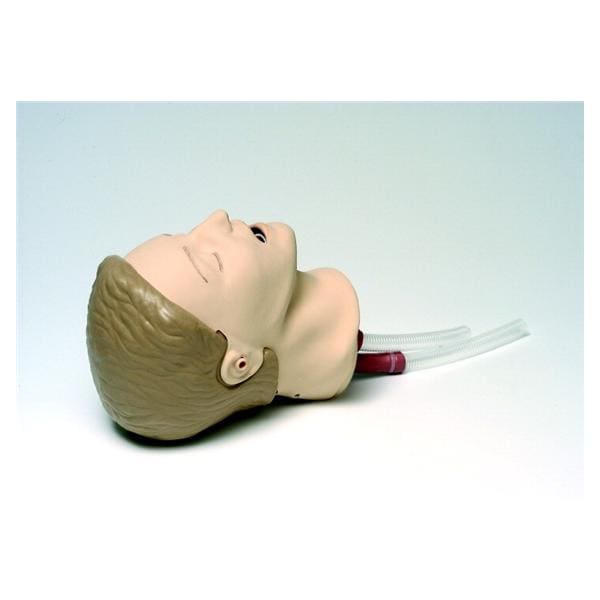 Resusci Anne Manikin Intubation Head Ea