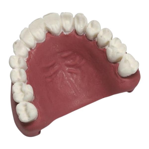 MegaCode Kelly Replacement Teeth Ea
