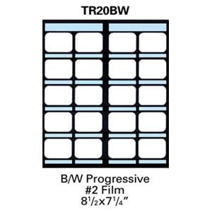 TrollMount X-Ray Film Mounts TR20BW #2 Plastic 100/Bx