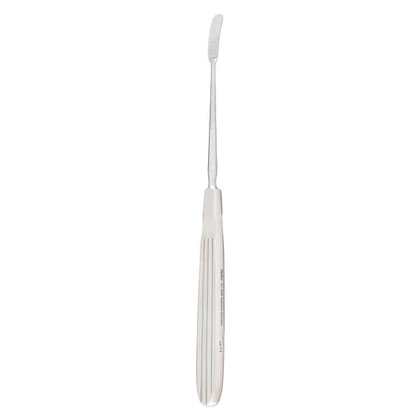 Aufricht Glabella Rasp 8-1/4" Stainless Steel Ea