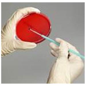 Quality Control 2/Pk